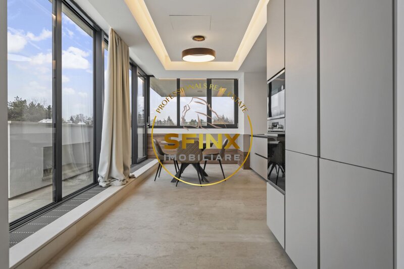 Kiseleff, 4 room penthouse to let, roof terrace, panoramic view, pet friendly