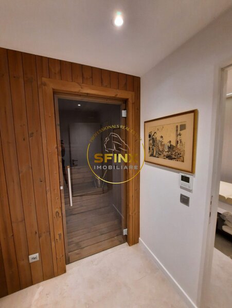 Kiseleff, 4 room penthouse to let, roof terrace, panoramic view, pet friendly